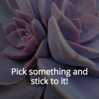 pick-something
