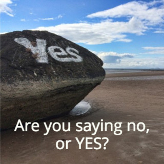 yes-or-no