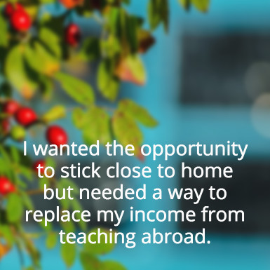 replace-teaching-income